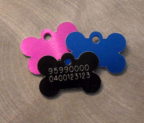 pet tag03